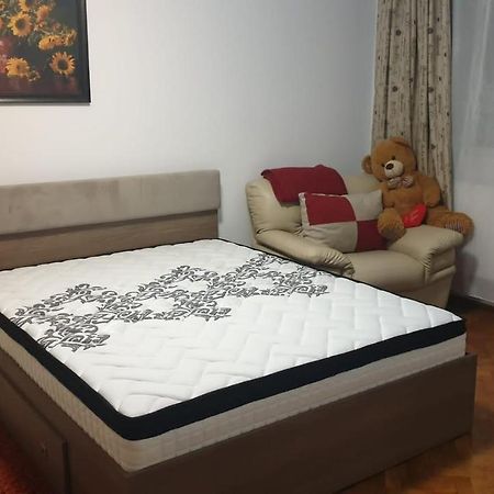 Апартаменты Apartamentdecebal Констанца Экстерьер фото